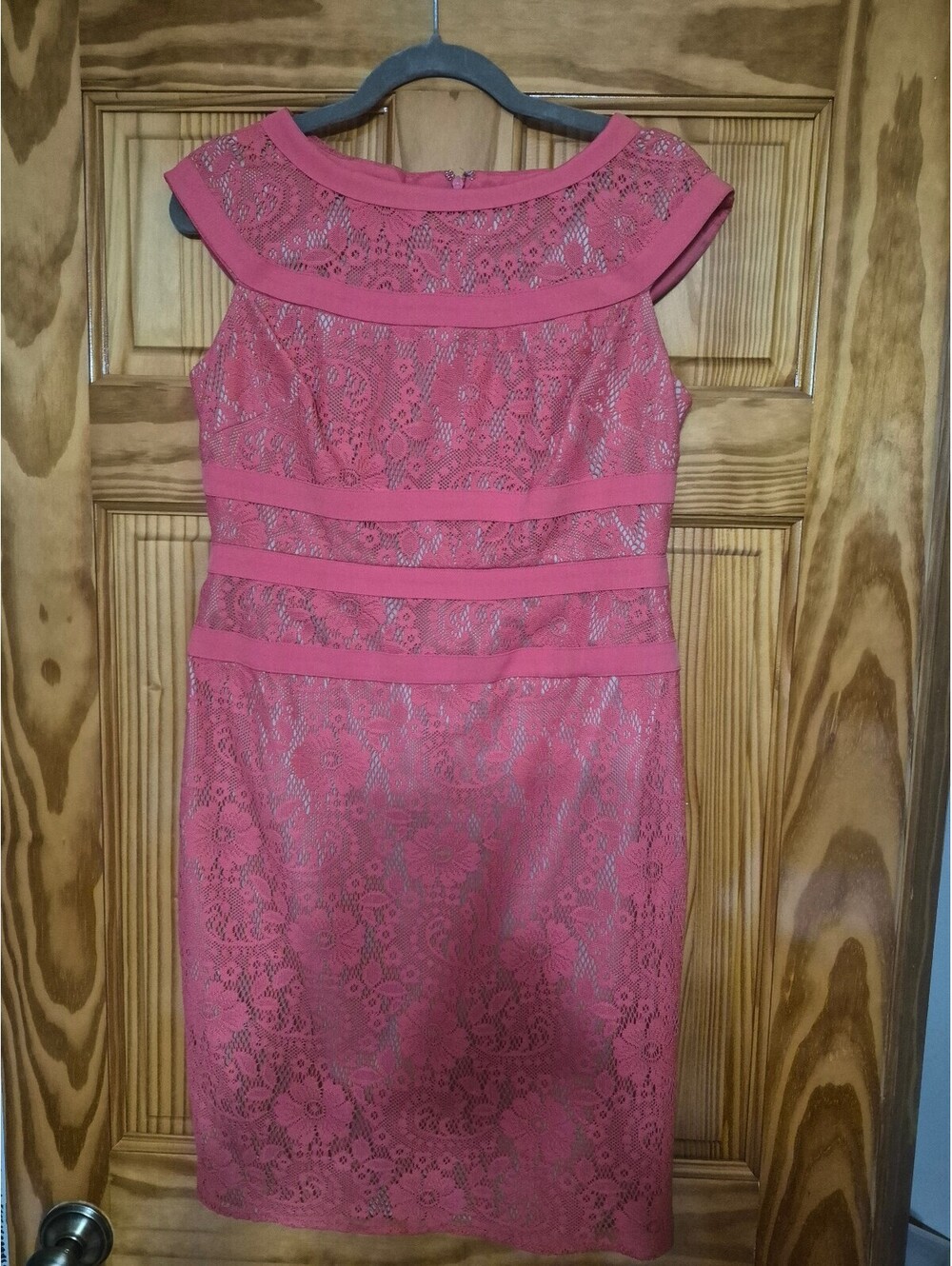 Adrianna Papell Pink Lace Sheath Dress Size 10P